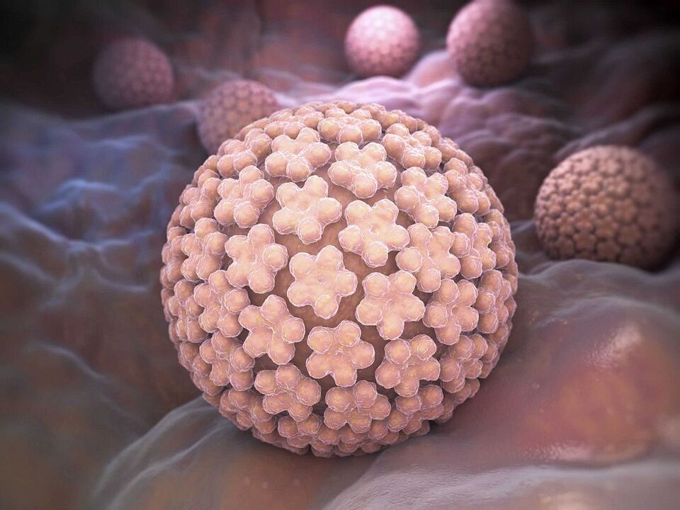 HPV cēloņi